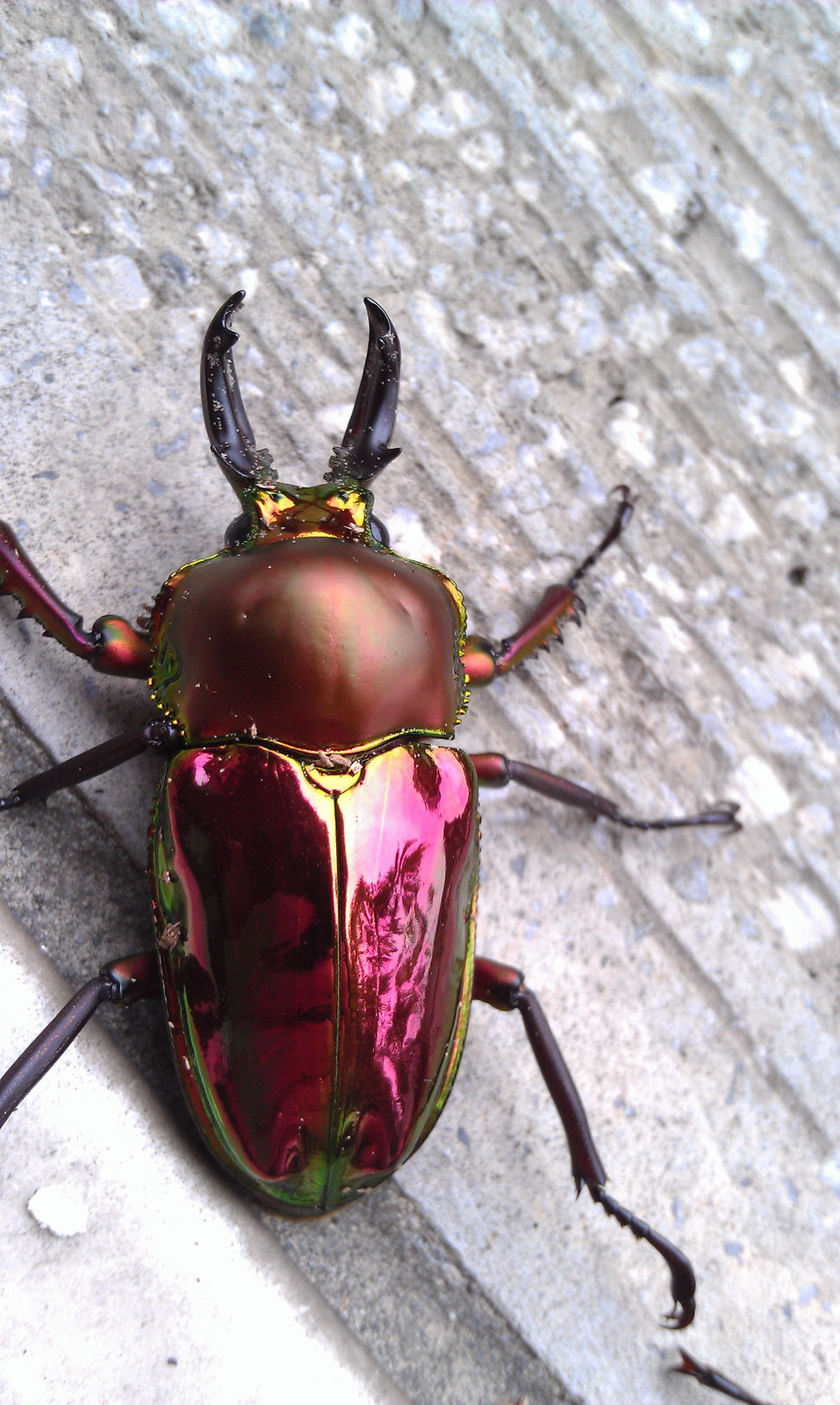 按此在新視窗瀏覽圖片