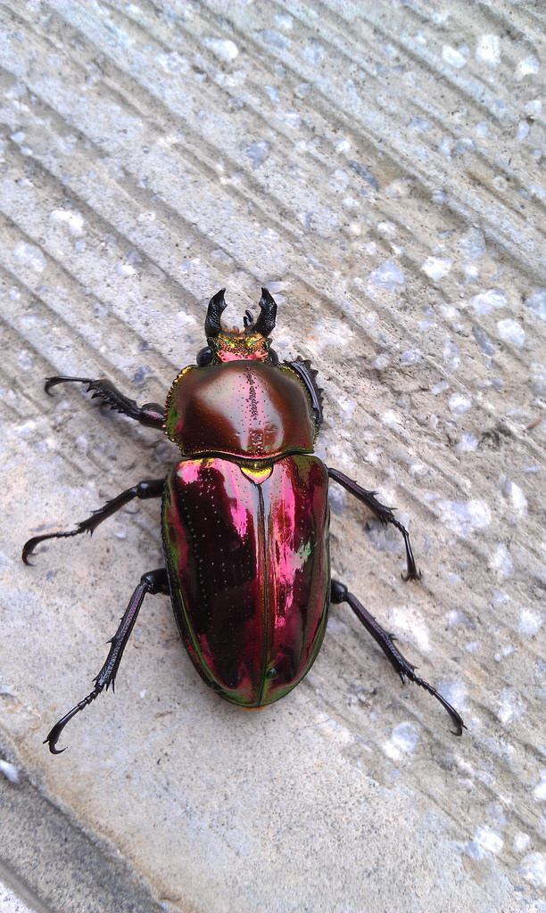 按此在新視窗瀏覽圖片