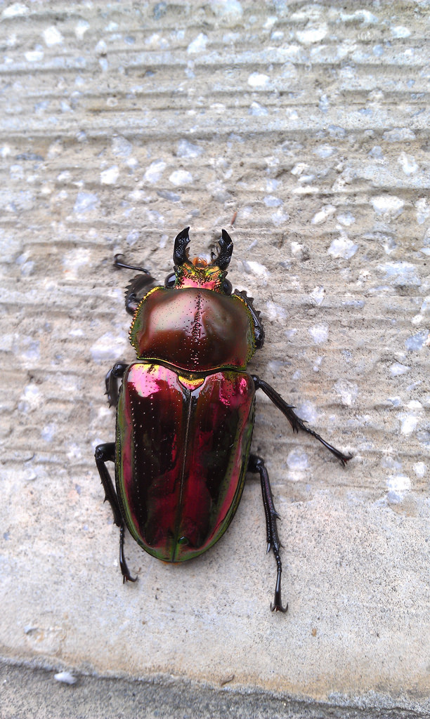 按此在新視窗瀏覽圖片