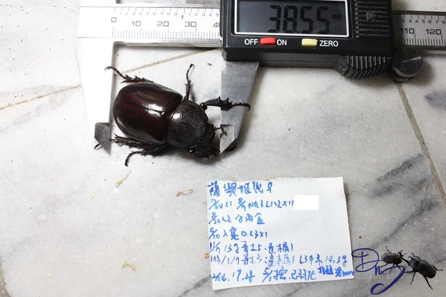 按此在新視窗瀏覽圖片