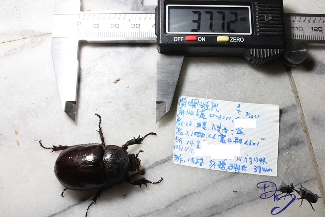 按此在新視窗瀏覽圖片