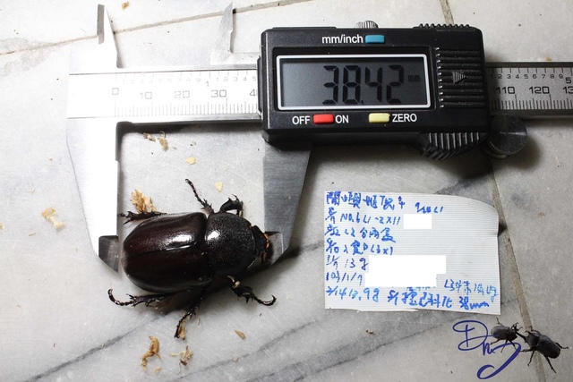 按此在新視窗瀏覽圖片