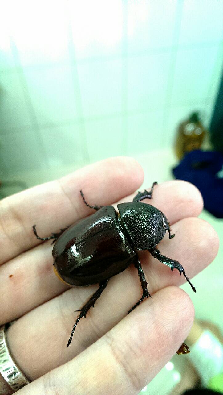 按此在新視窗瀏覽圖片