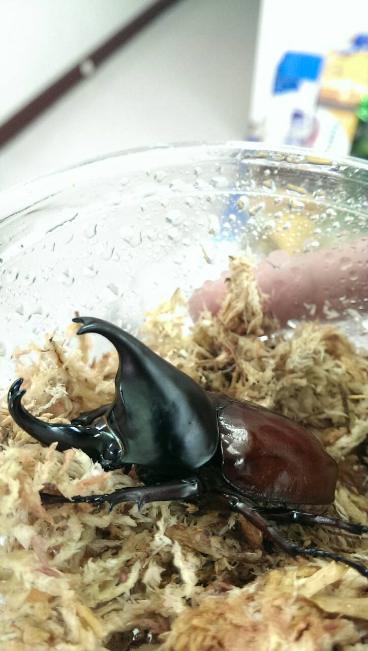 按此在新視窗瀏覽圖片