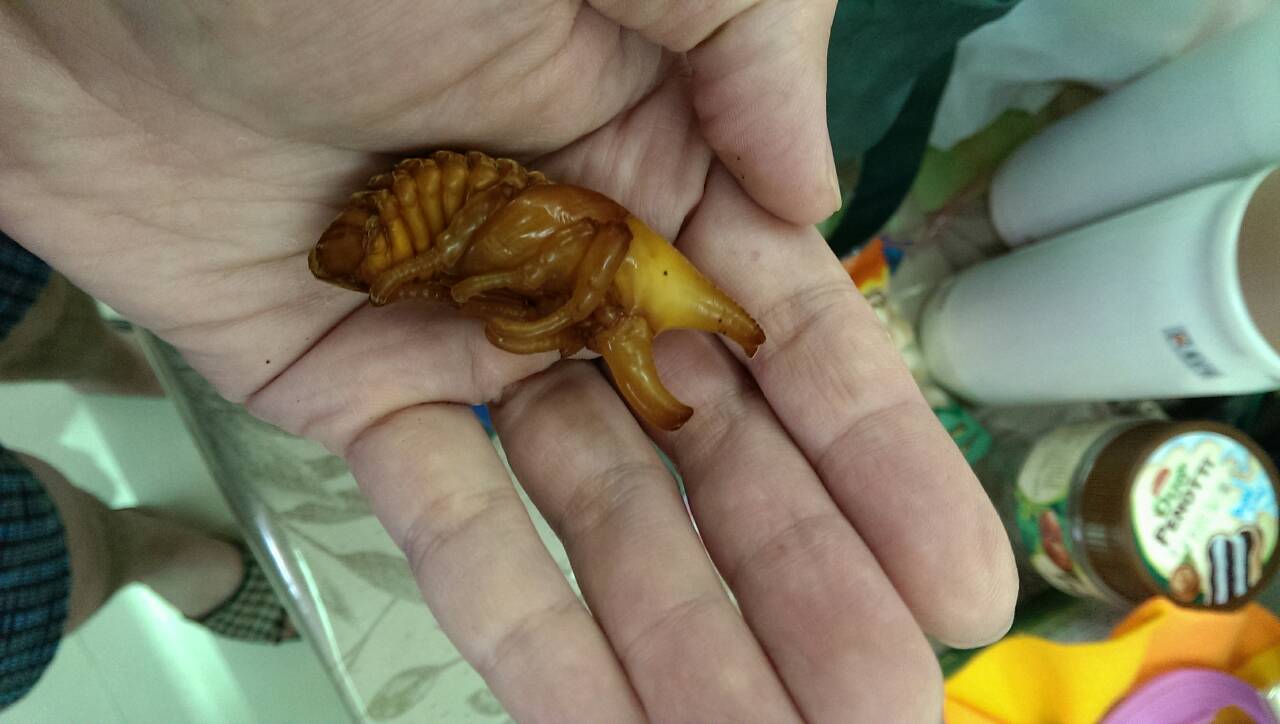 按此在新視窗瀏覽圖片