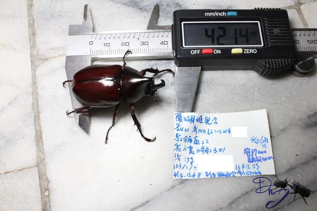 按此在新視窗瀏覽圖片