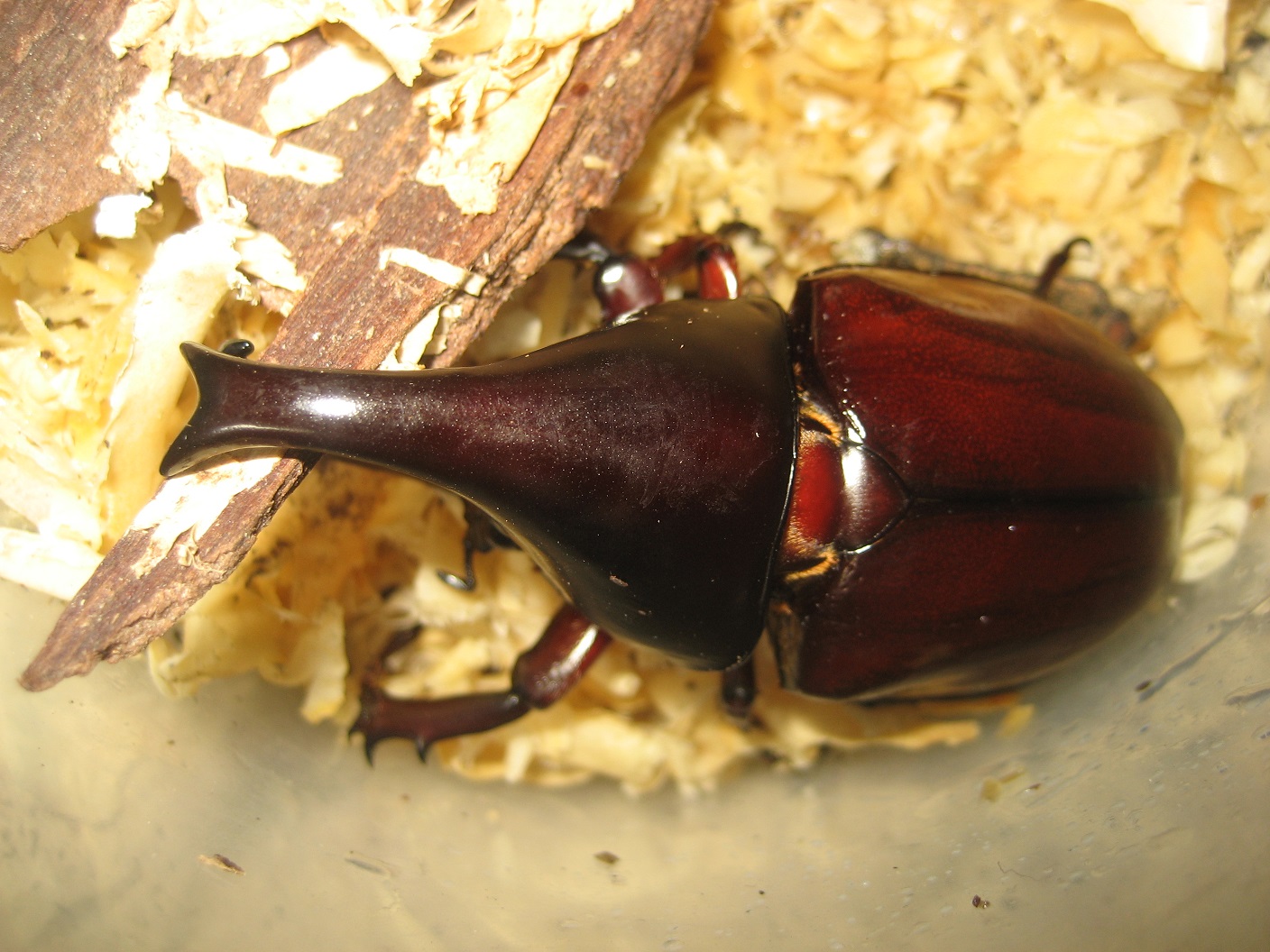 按此在新視窗瀏覽圖片