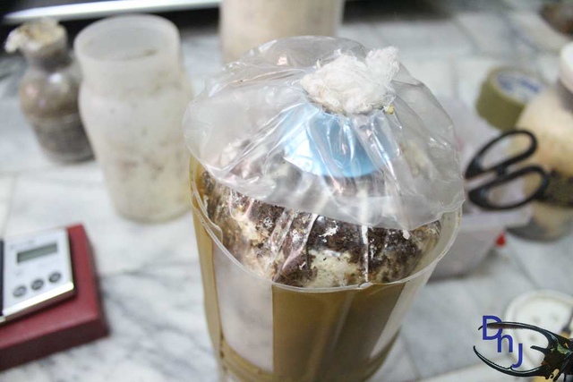 按此在新視窗瀏覽圖片