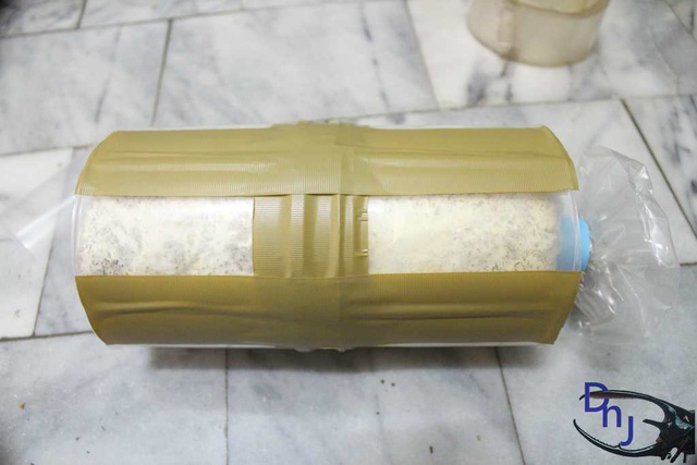 按此在新視窗瀏覽圖片