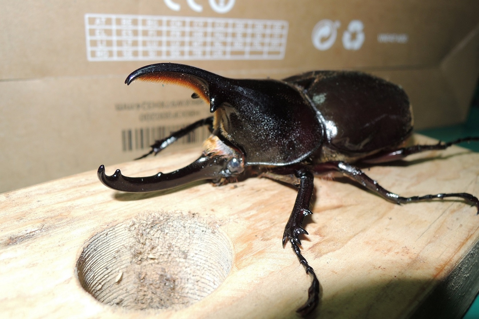 按此在新視窗瀏覽圖片