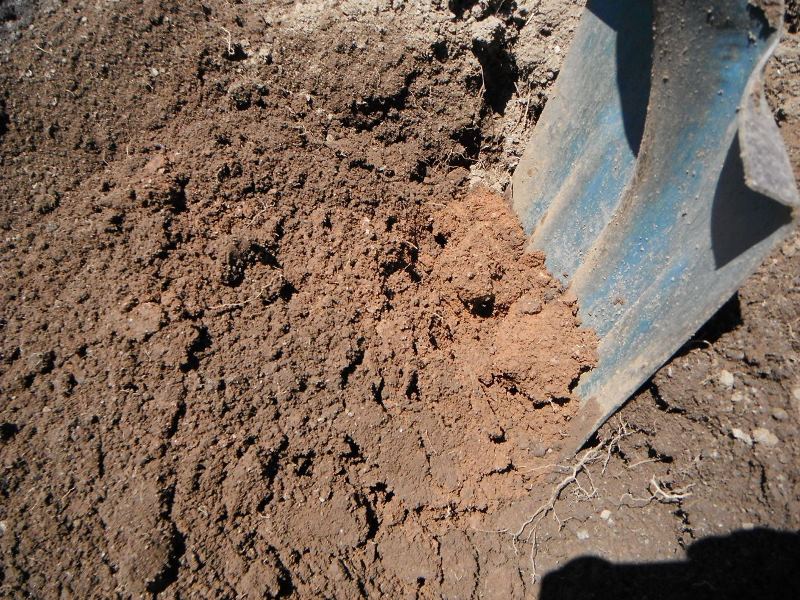 «ö¦¹¦b·sµøµ¡ÂsÄý¹Ï¤ù