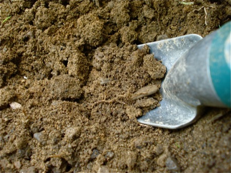 «ö¦¹¦b·sµøµ¡ÂsÄý¹Ï¤ù