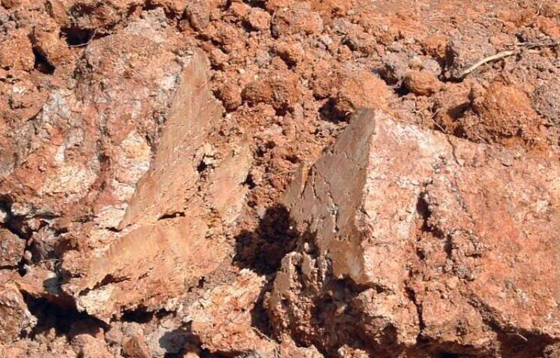 «ö¦¹¦b·sµøµ¡ÂsÄý¹Ï¤ù