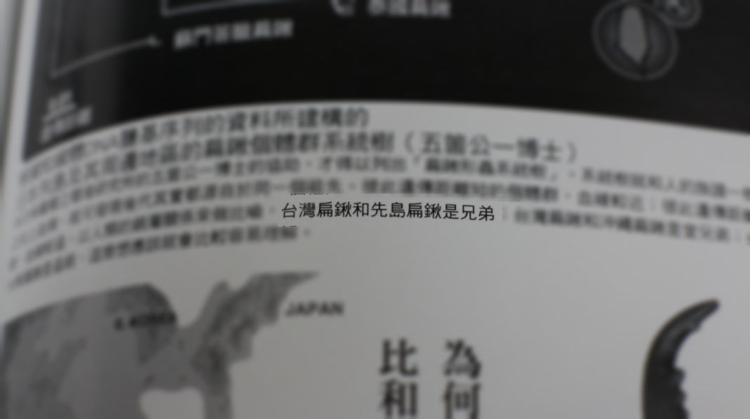 按此在新視窗瀏覽圖片