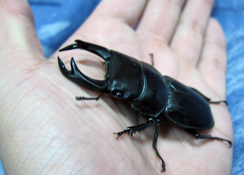 按此在新視窗瀏覽圖片