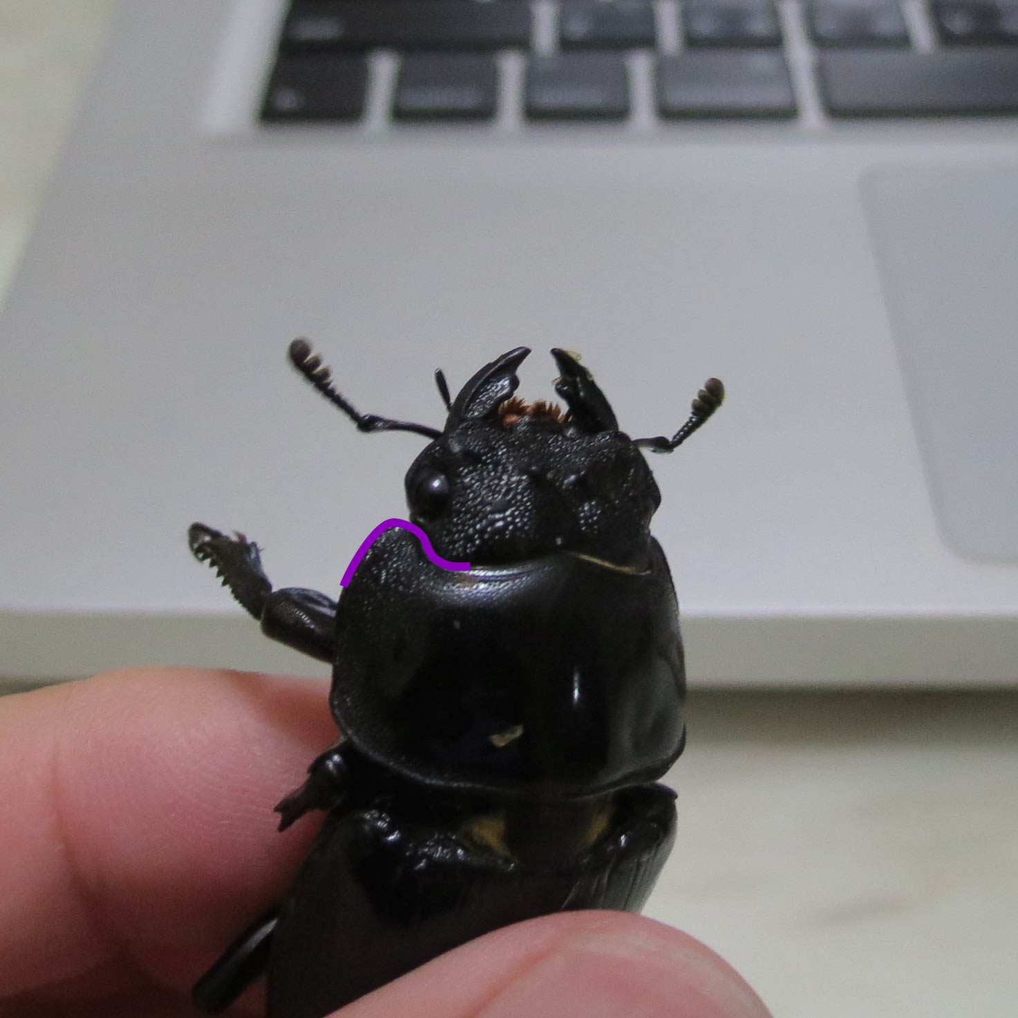 按此在新視窗瀏覽圖片