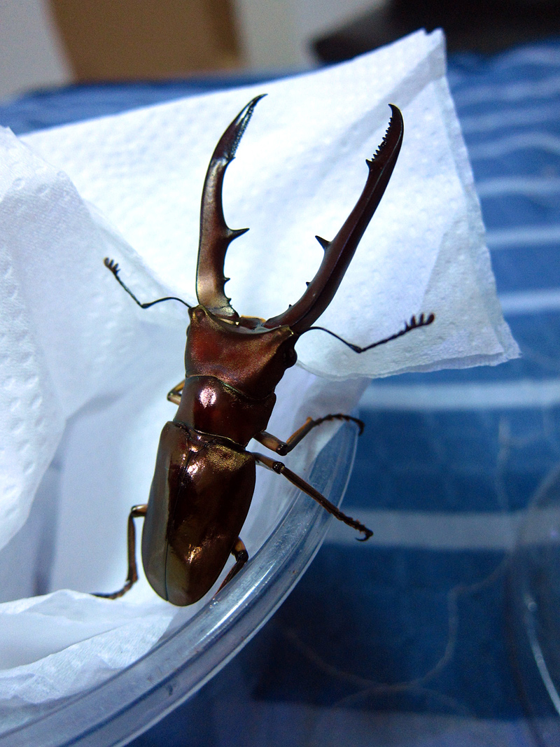 按此在新視窗瀏覽圖片