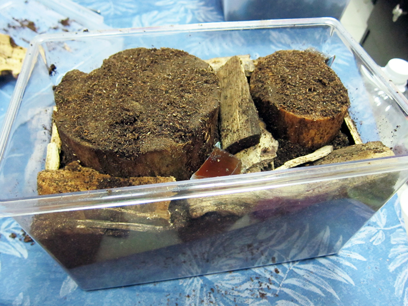 按此在新視窗瀏覽圖片