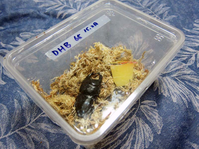 按此在新視窗瀏覽圖片