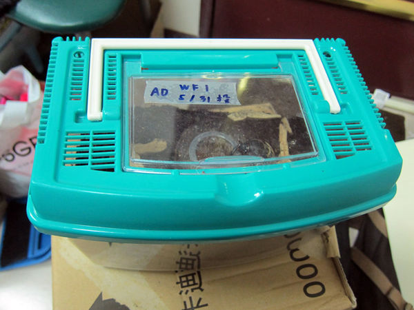 按此在新視窗瀏覽圖片