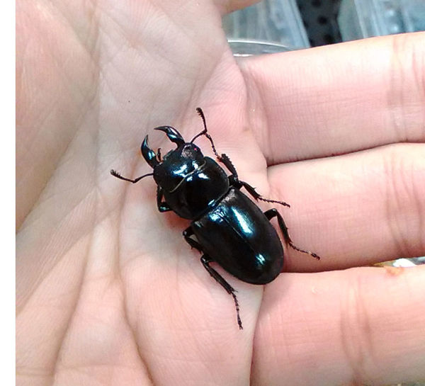 按此在新視窗瀏覽圖片