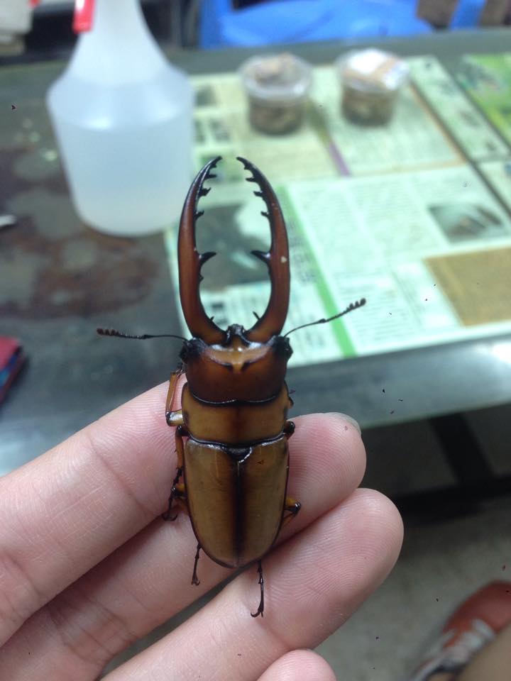 按此在新視窗瀏覽圖片