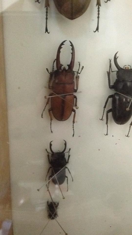 按此在新視窗瀏覽圖片