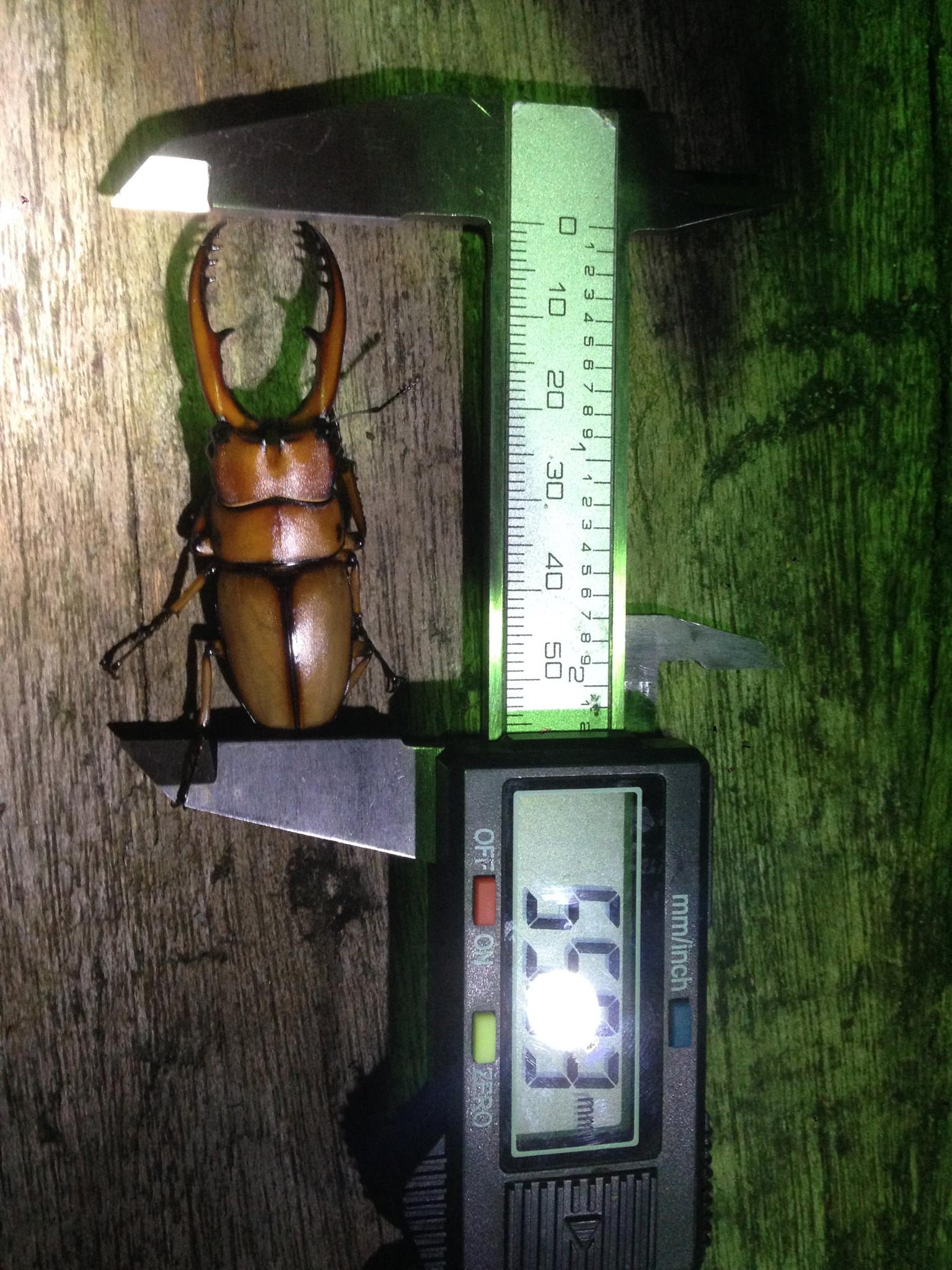 按此在新視窗瀏覽圖片