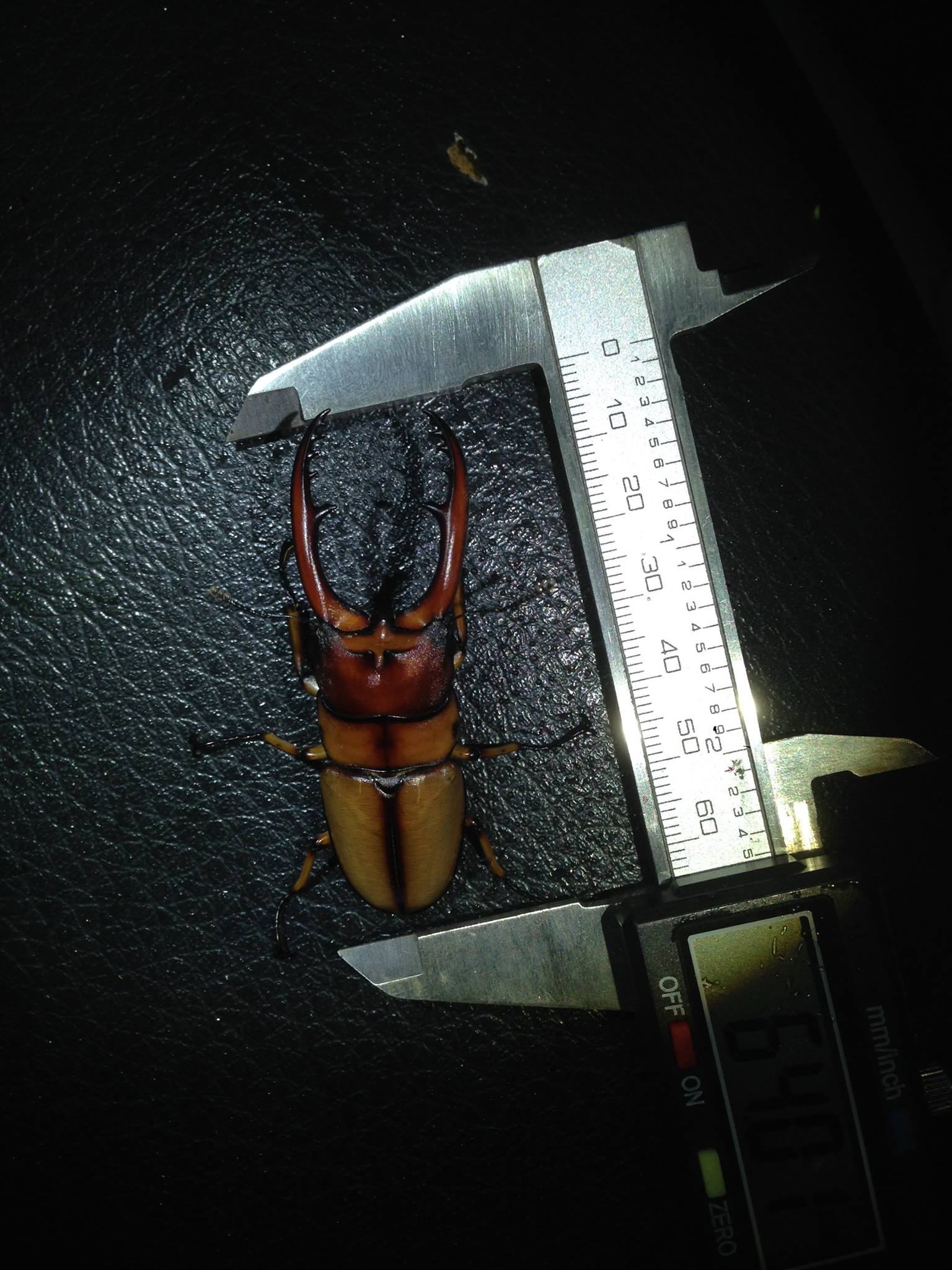 按此在新視窗瀏覽圖片