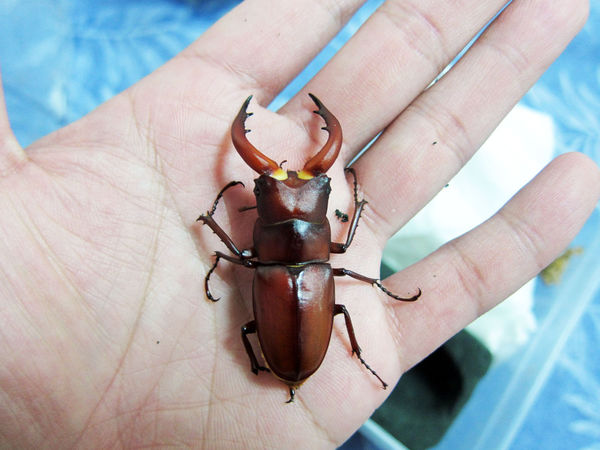 按此在新視窗瀏覽圖片