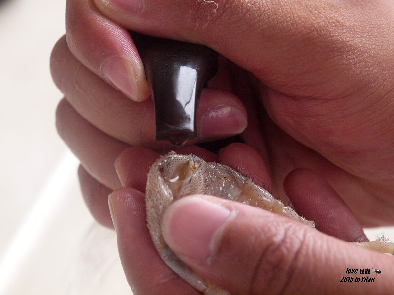 按此在新視窗瀏覽圖片