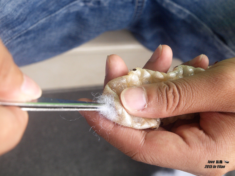 按此在新視窗瀏覽圖片