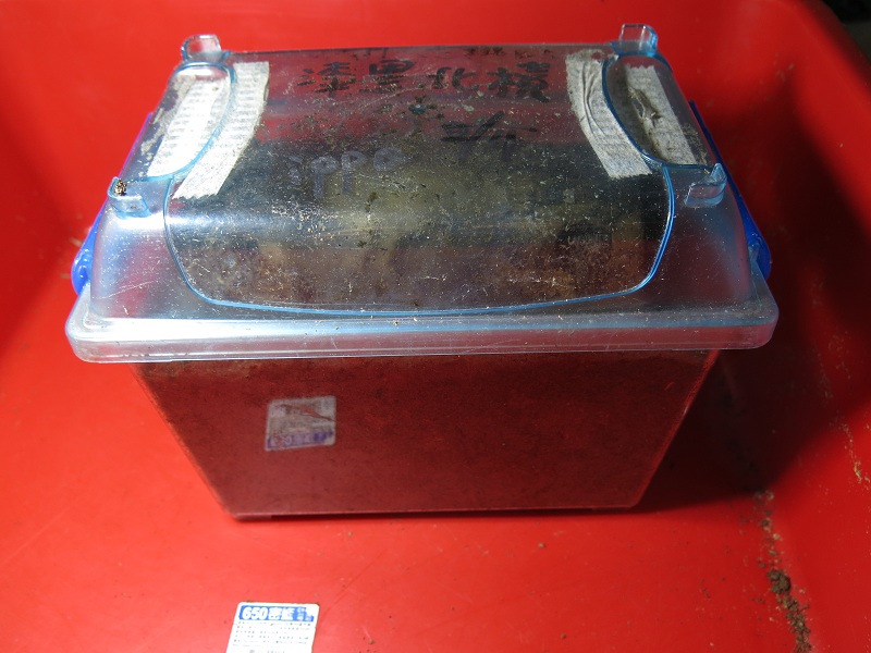 按此在新視窗瀏覽圖片