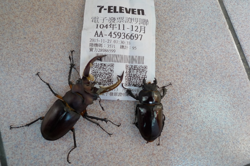 按此在新視窗瀏覽圖片