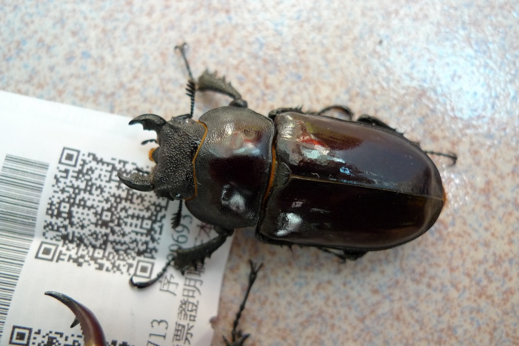 按此在新視窗瀏覽圖片