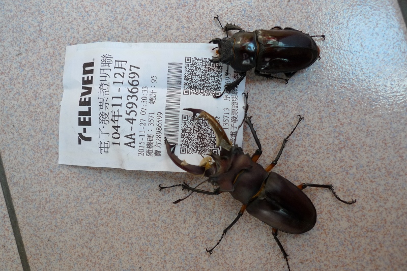 按此在新視窗瀏覽圖片