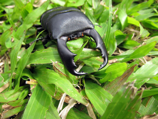 按此在新視窗瀏覽圖片