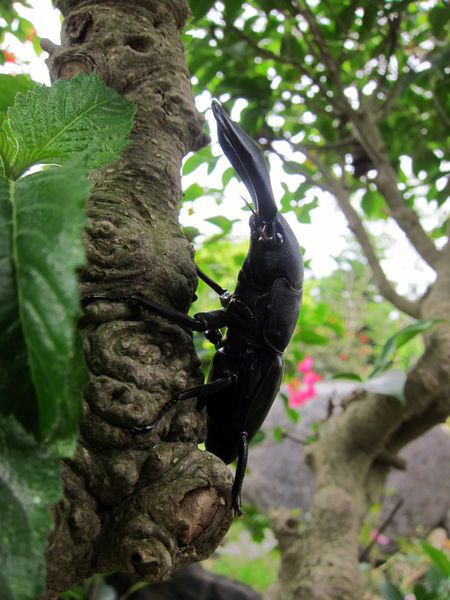 按此在新視窗瀏覽圖片