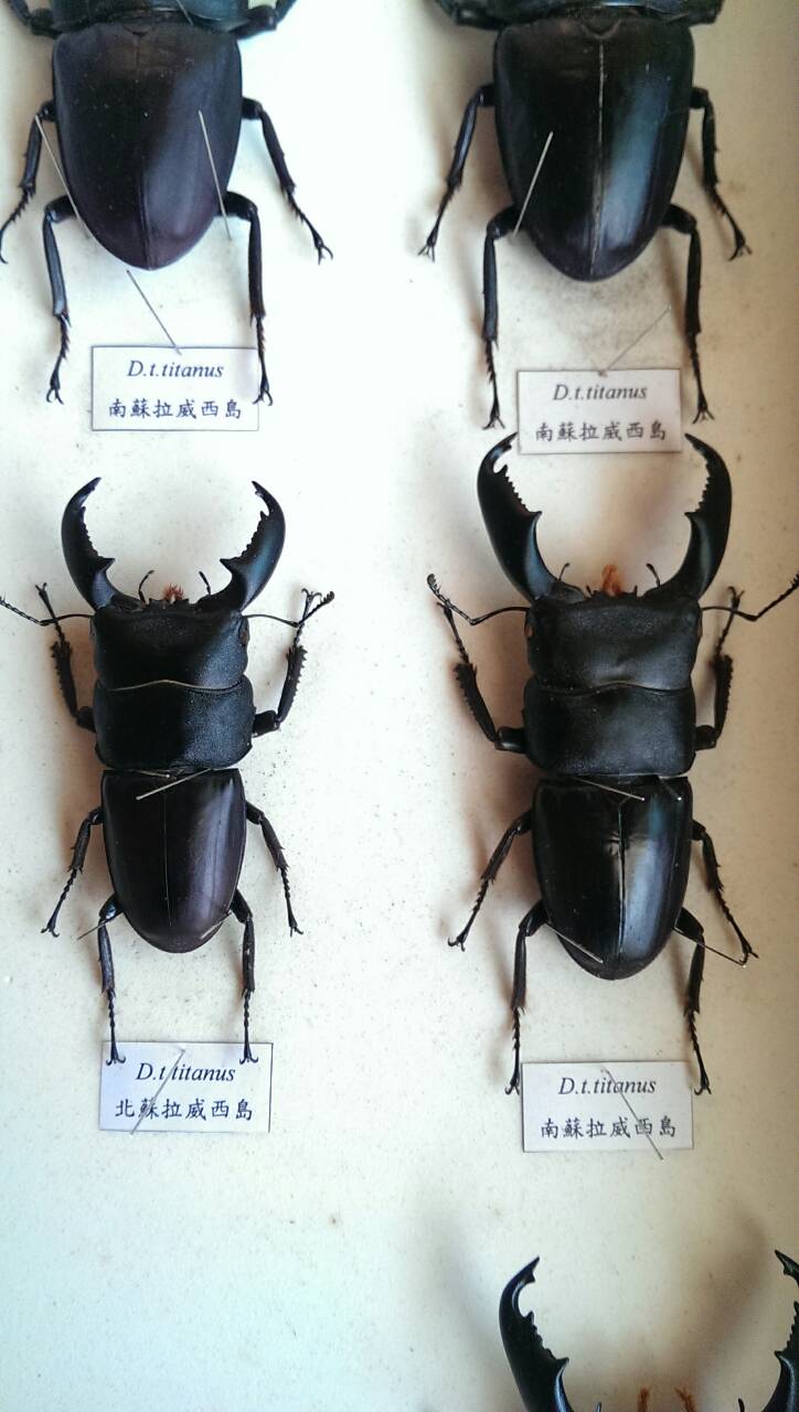 按此在新視窗瀏覽圖片