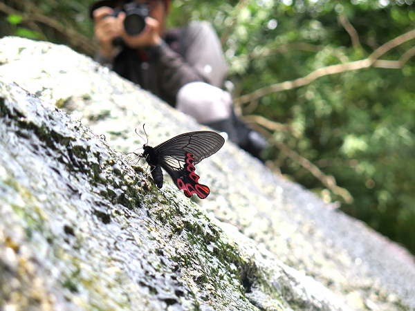 按此在新視窗瀏覽圖片