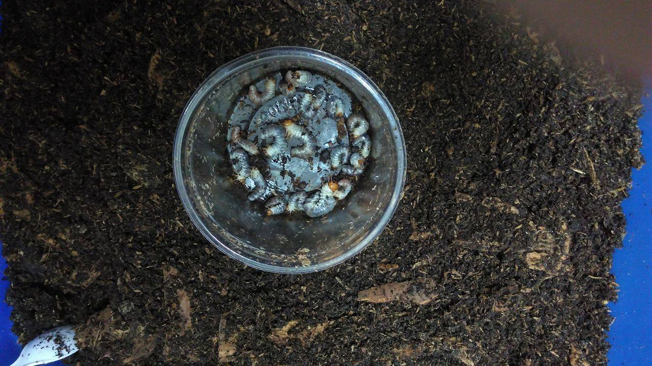 按此在新視窗瀏覽圖片