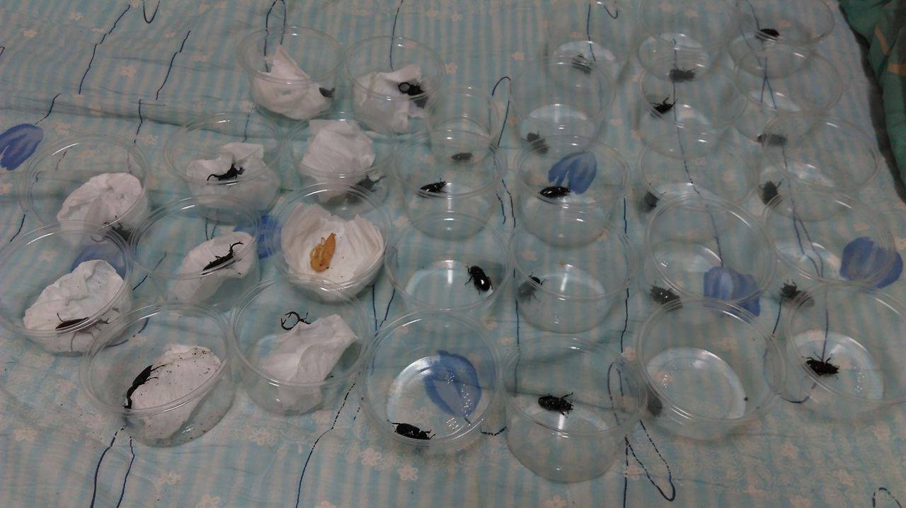 按此在新視窗瀏覽圖片