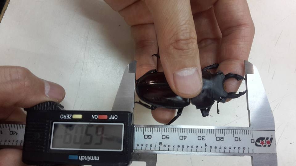 按此在新視窗瀏覽圖片