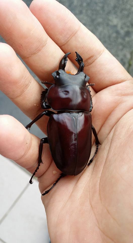 按此在新視窗瀏覽圖片