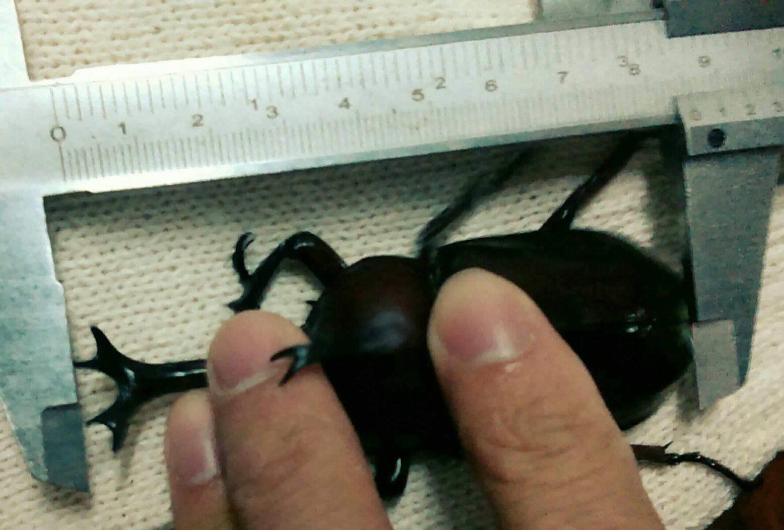 «ö¦¹¦b·sµøµ¡ÂsÄý¹Ï¤ù