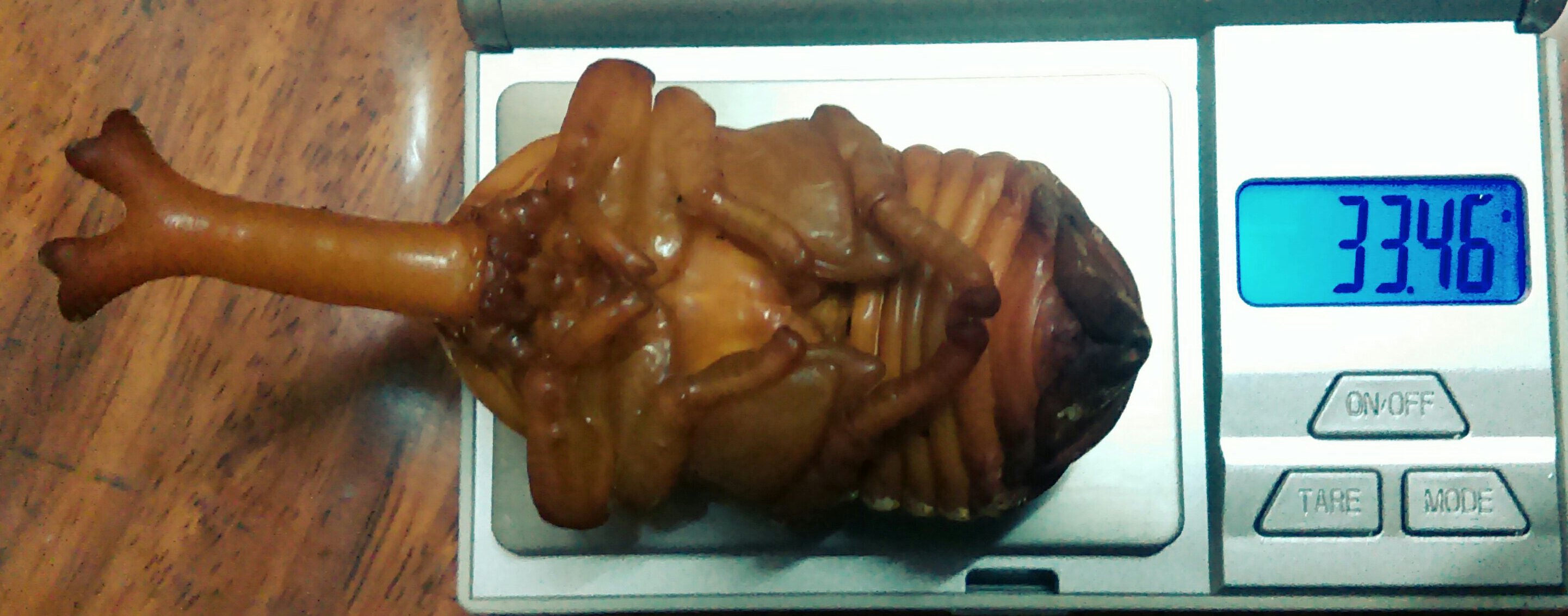 «ö¦¹¦b·sµøµ¡ÂsÄý¹Ï¤ù