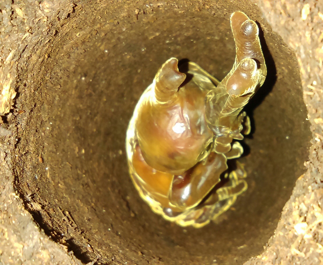 «ö¦¹¦b·sµøµ¡ÂsÄý¹Ï¤ù