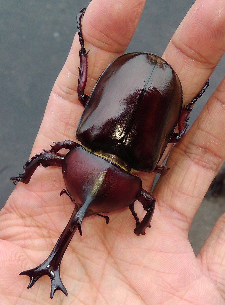 «ö¦¹¦b·sµøµ¡ÂsÄý¹Ï¤ù