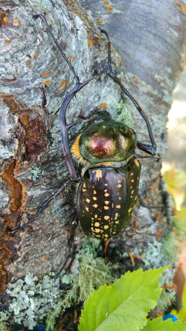 按此在新視窗瀏覽圖片