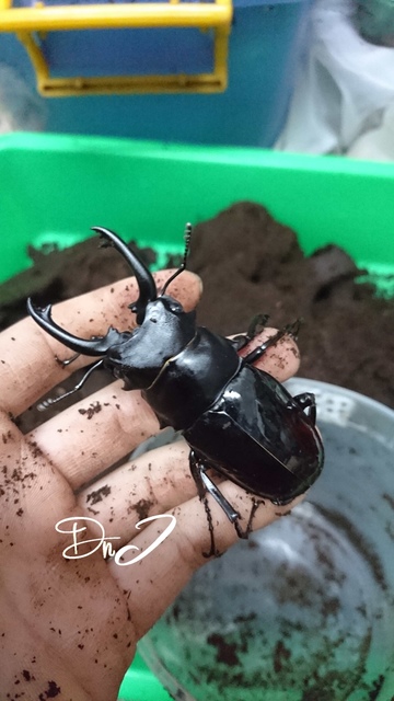 按此在新視窗瀏覽圖片